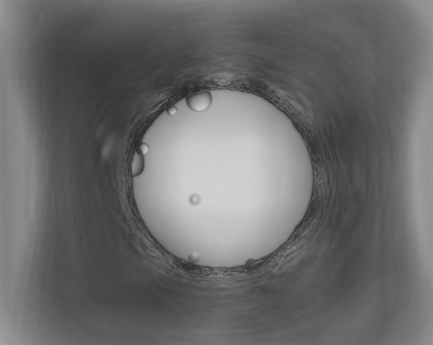 X0000110991105200906191105