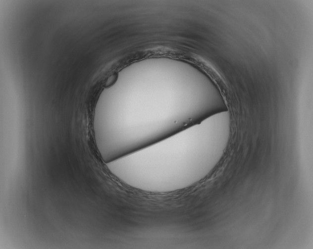X0000110991111200906191105