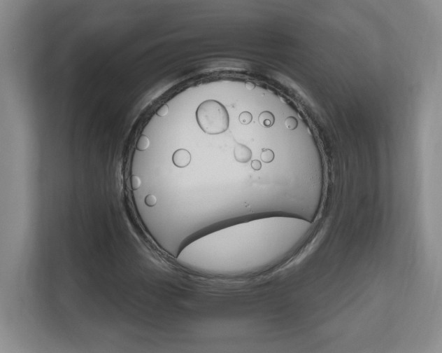 X0000110991113200906191105