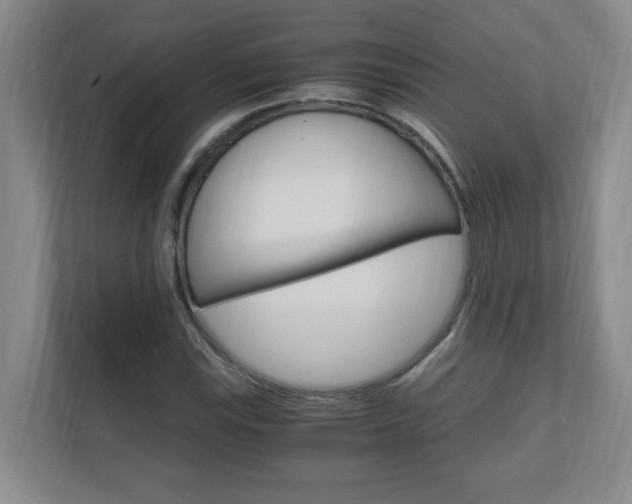 X0000110991115200906191105