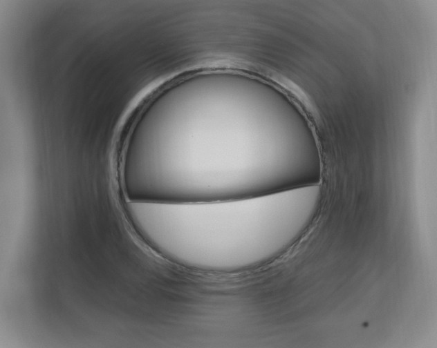 X0000110991120200906191105