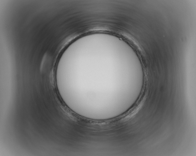 X0000110991121200906191105