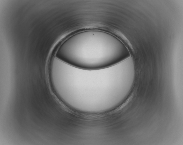 X0000110991122200906191105