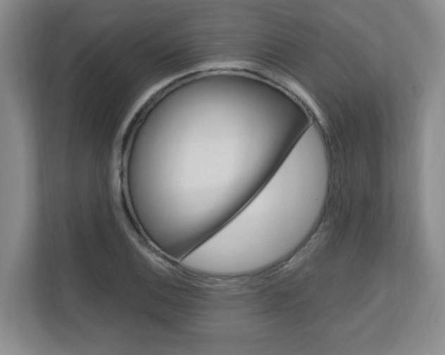 X0000110991124200906191105