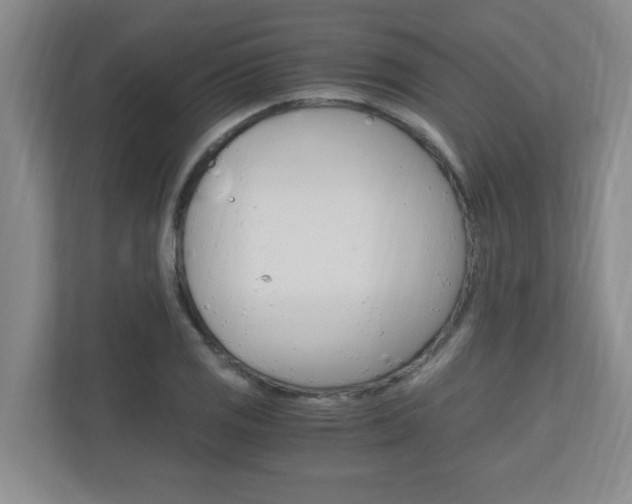 X0000110991125200906191105