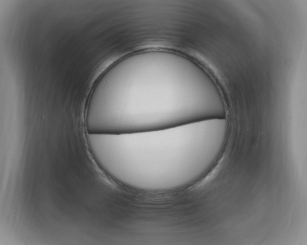 X0000110991129200906191105