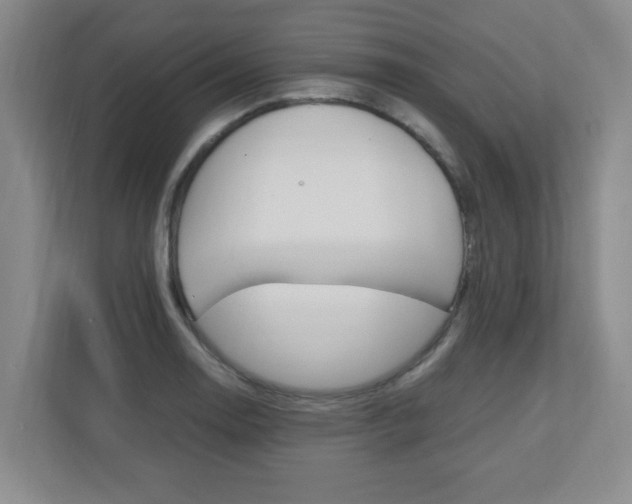 X0000110991130200906191105