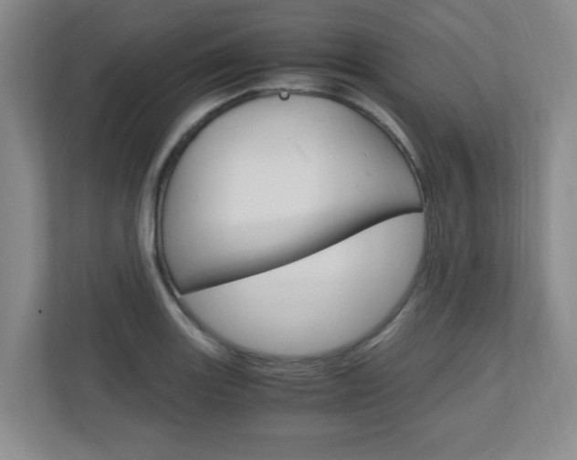 X0000110991131200906191105