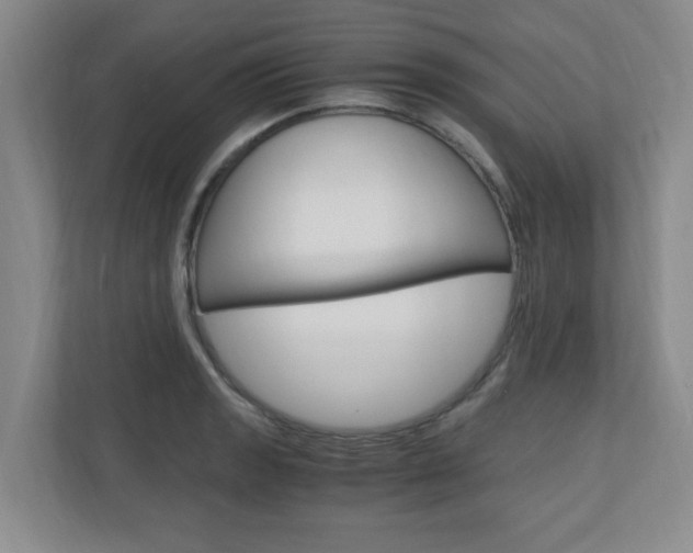 X0000110991133200906191105