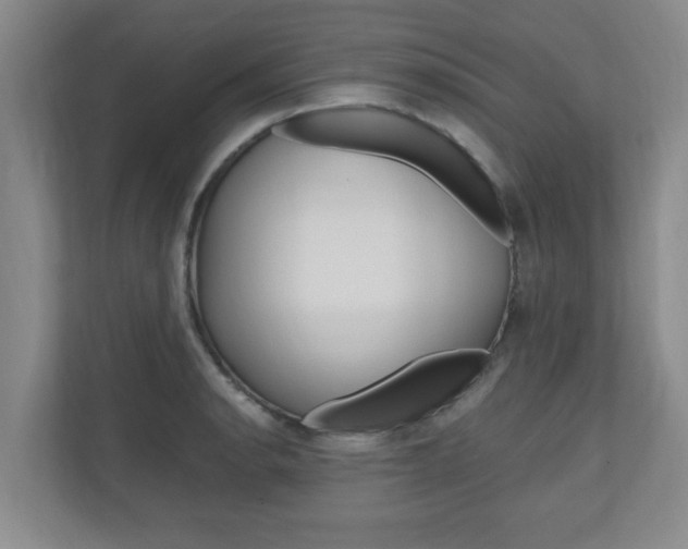 X0000110991134200906191105