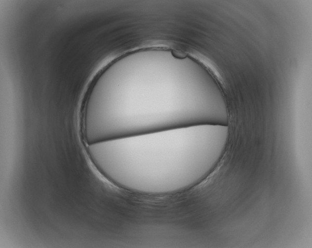 X0000110991135200906191105