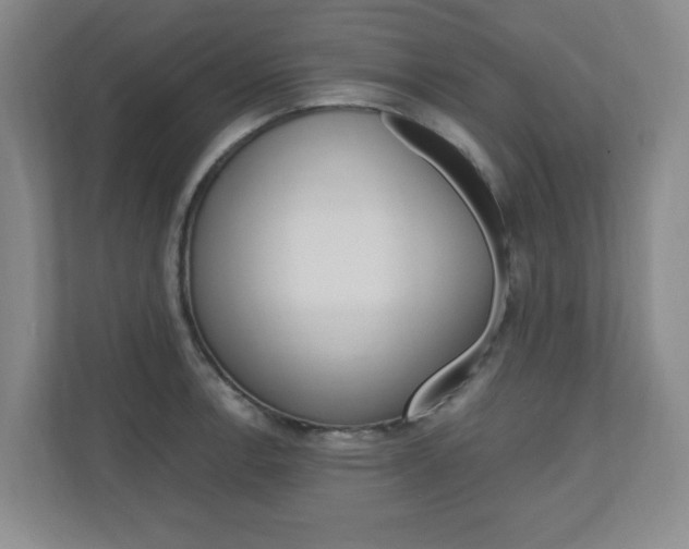 X0000110991138200906191105