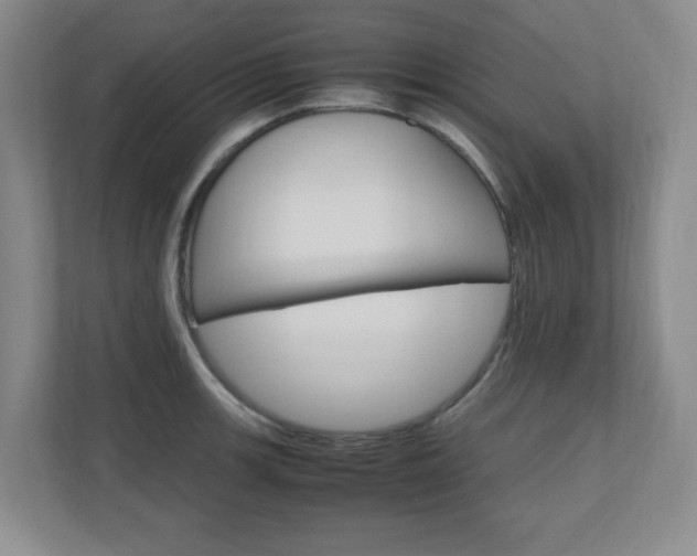 X0000110991139200906191105