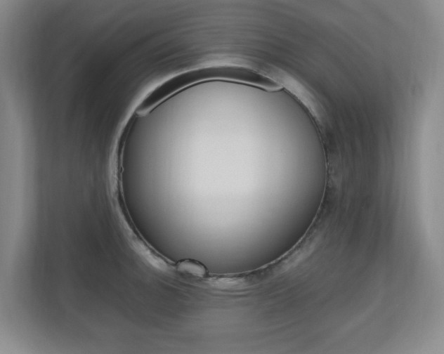 X0000110991140200906191105