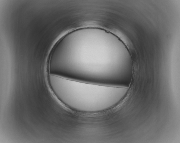 X0000110991142200906191105