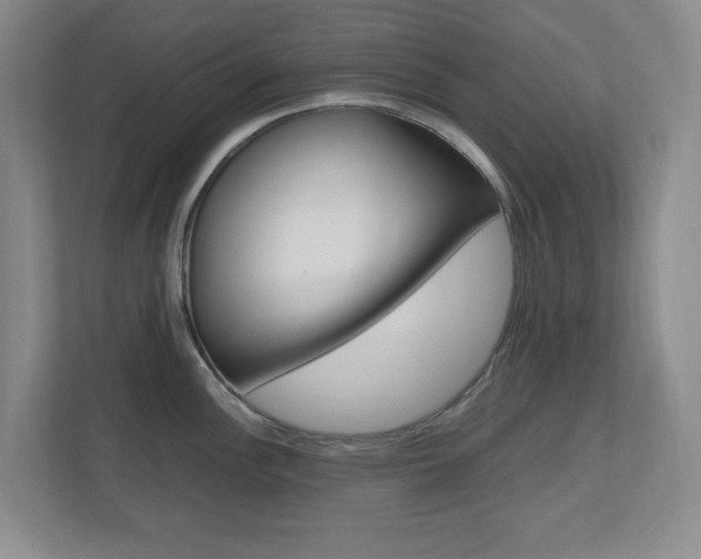 X0000110991148200906191105