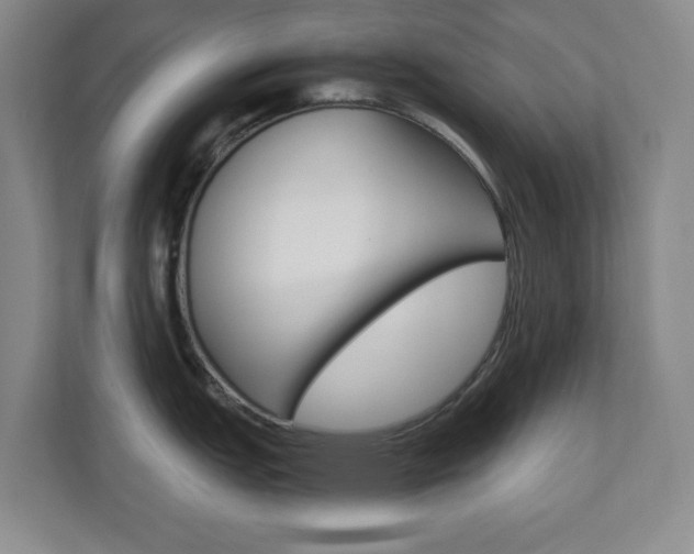 X0000110991151200906191105