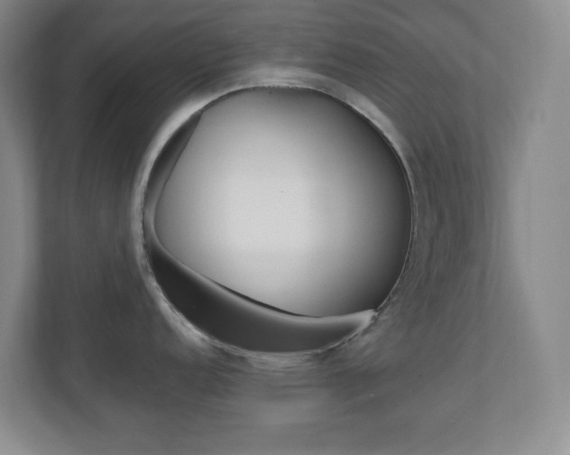 X0000110991152200906191105