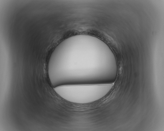 X0000110991156200906191104