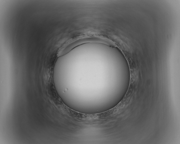 X0000110991157200906191104