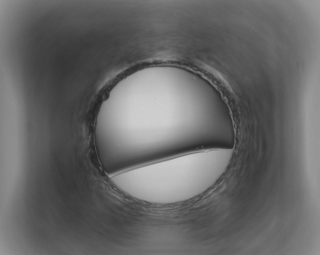 X0000110991160200906191104