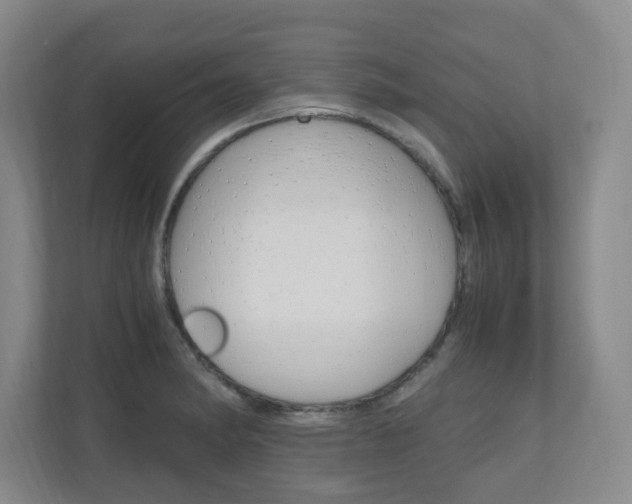 X0000110991182200906191104