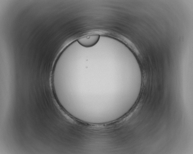 X0000110991186200906191104