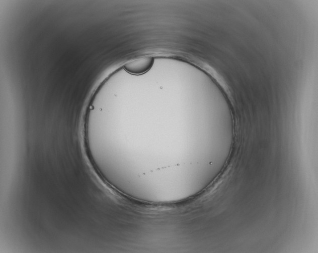 X0000110991187200906191104
