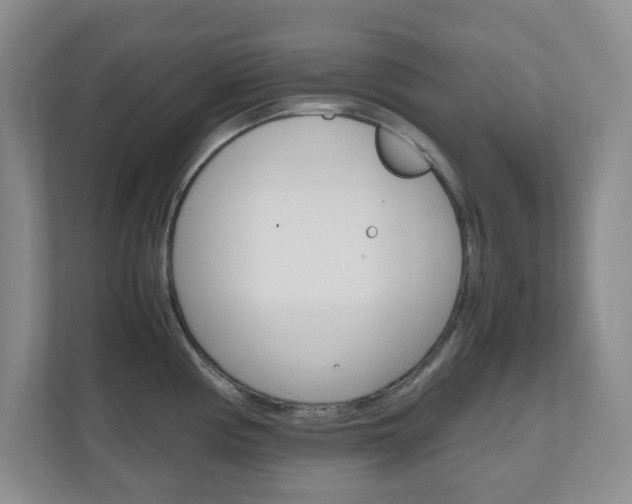 X0000110991194200906191104