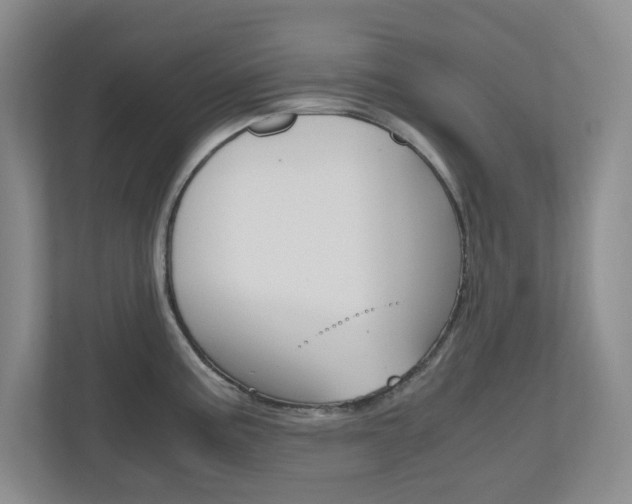 X0000110991195200906191104