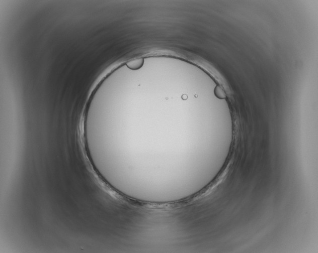 X0000110991198200906191104