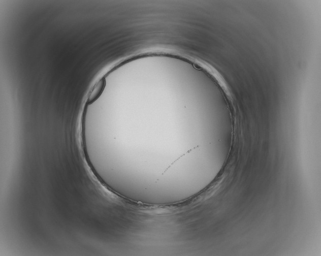 X0000110991199200906191104