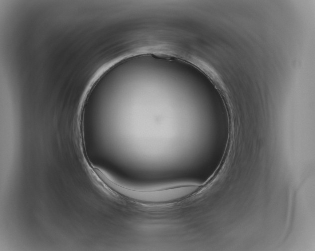 X0000110991200200906191104