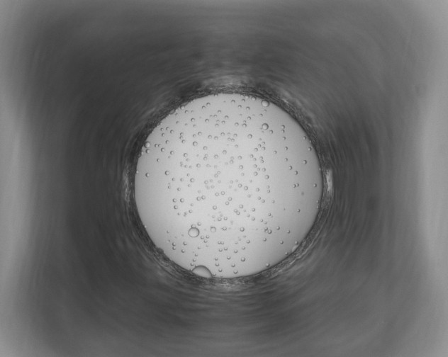 X0000110991203200906191103