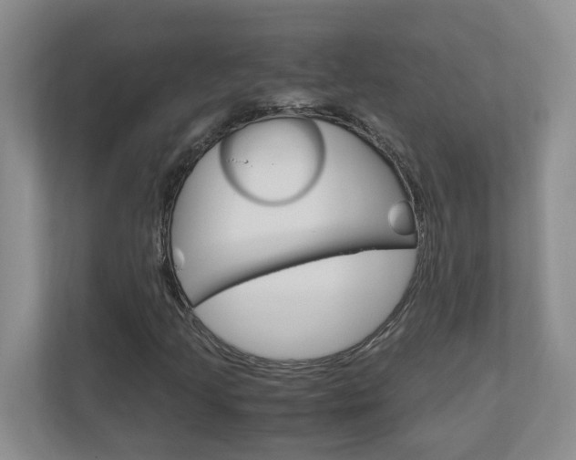 X0000110991205200906191103