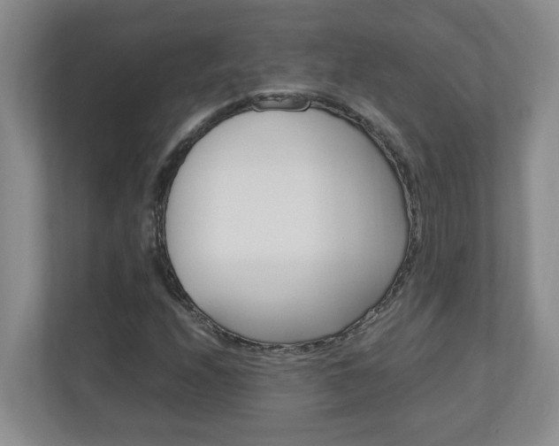 X0000110991208200906191103