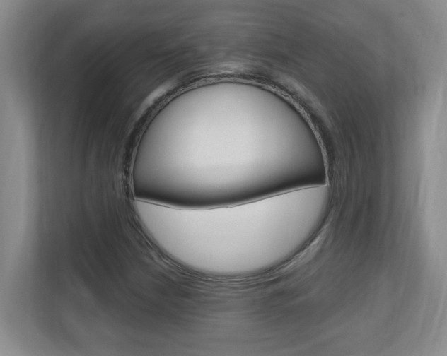 X0000110991210200906191103
