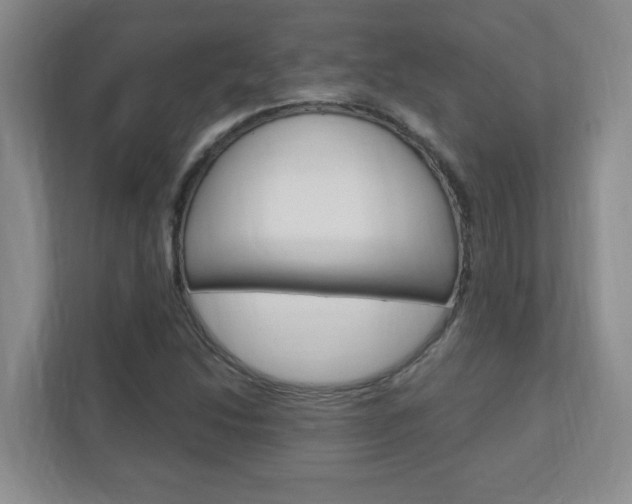 X0000110991214200906191103