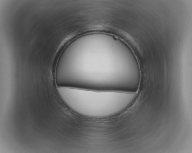 X0000110991218200906191103