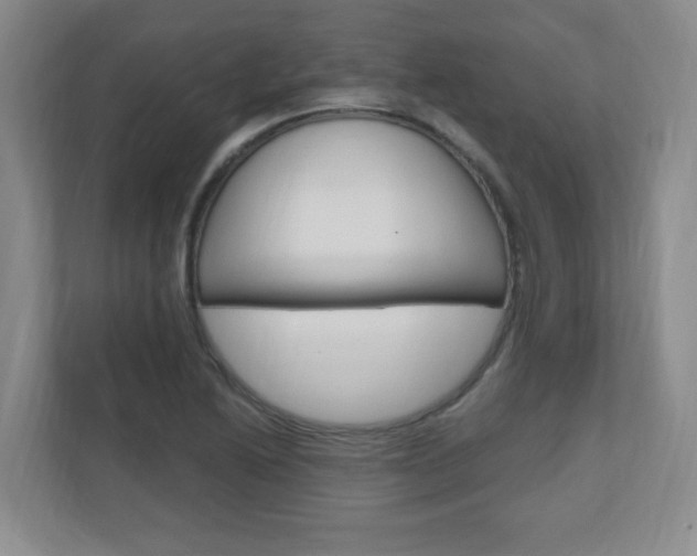 X0000110991222200906191104