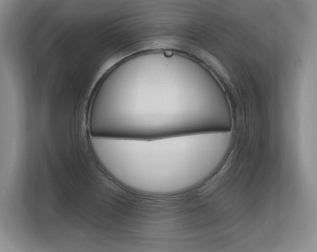 X0000110991226200906191104
