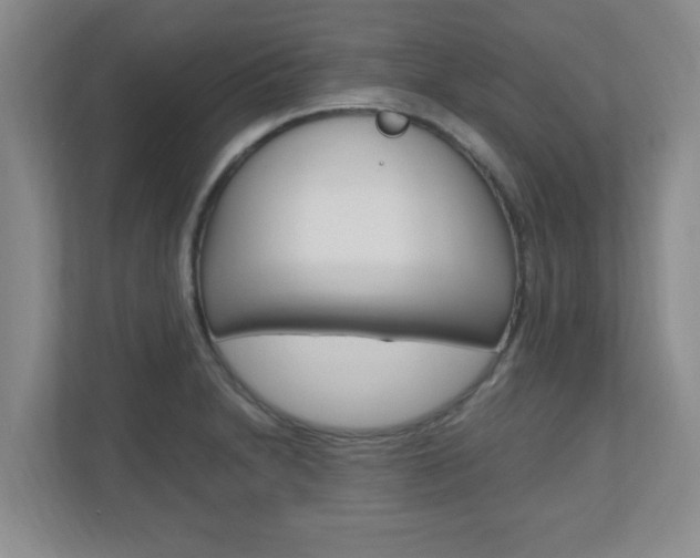 X0000110991230200906191104