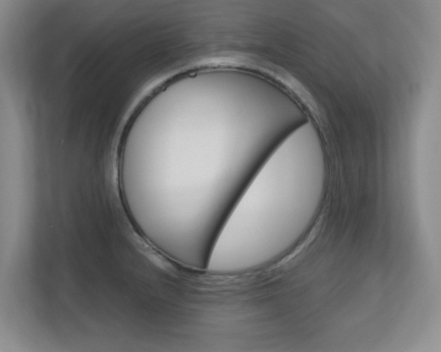 X0000110991232200906191104