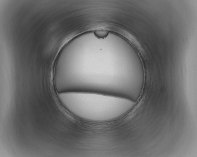 X0000110991234200906191104