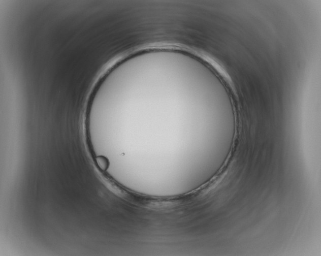X0000110991237200906191104