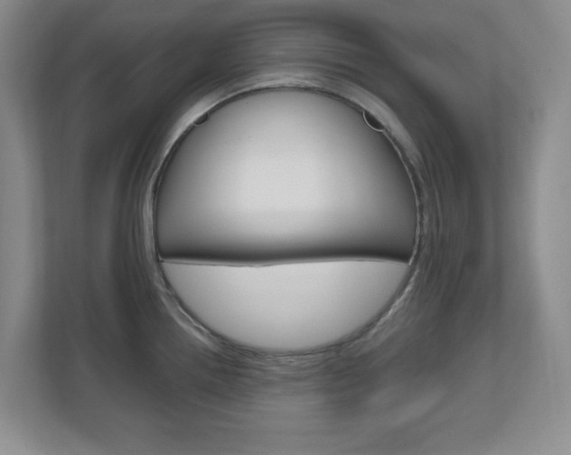 X0000110991242200906191104