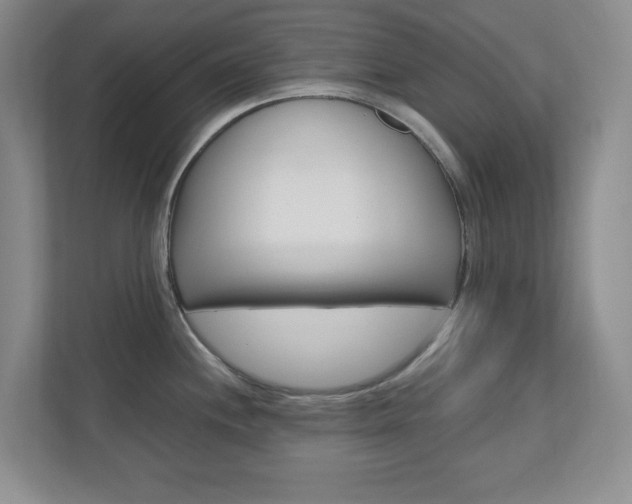 X0000110991244200906191104