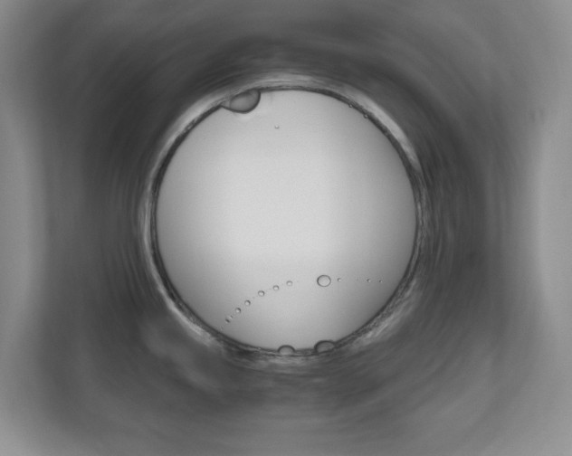 X0000110991245200906191104