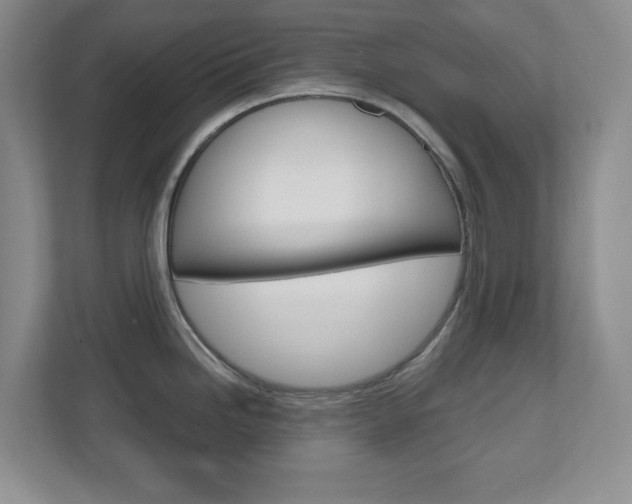 X0000110991246200906191104