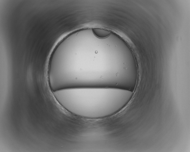 X0000110991248200906191104
